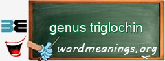 WordMeaning blackboard for genus triglochin